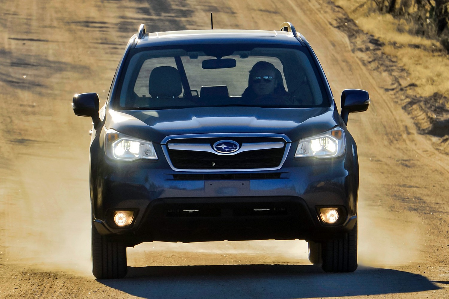 Subaru Forester 2.5i Limited PZEV 4dr SUV Exterior (2015 model year shown)