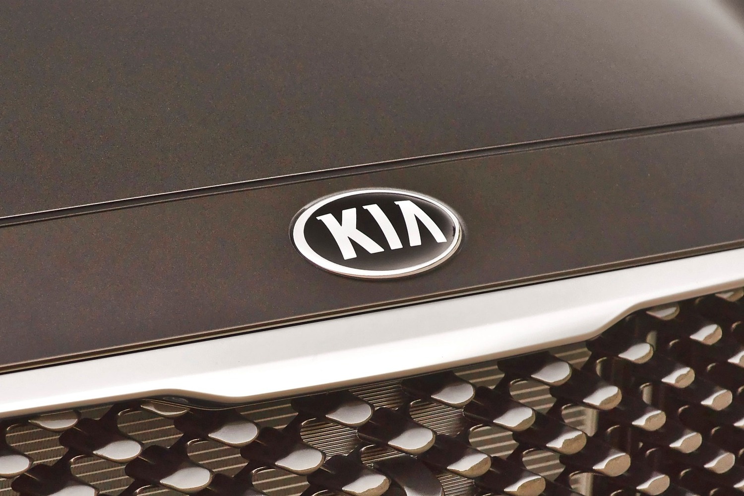Kia Sedona SX Limited Passenger Minivan Front Badge (2016 model year shown)